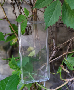 Case Google Pixel 4 Xl Speck Transparent