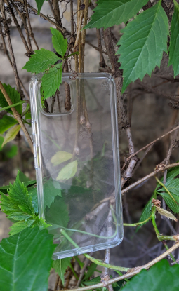 Case Google Pixel 4 Xl Speck Transparent 2