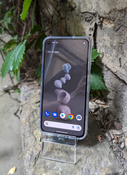 Case Google Pixel 5 Coach Flowers