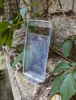 Case Google Pixel 7 Transparent 2