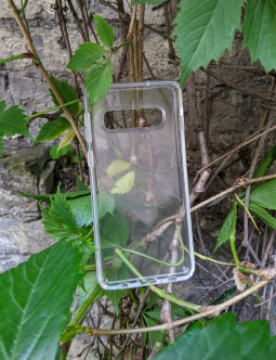 Case Samsung Galaxy S10 Speck Transparent 2