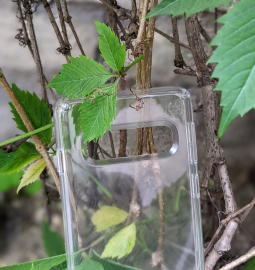 Case Samsung Galaxy S10 Speck Transparent 3