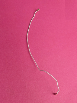 Coaxial Flex Pixel 8 Pro