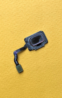 Finger Scanr Samsung Galaxy S9 C Stock