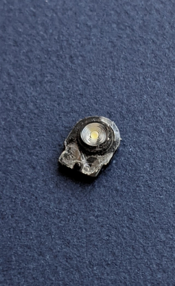 Flash Module Main Nokia C5 Endi
