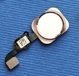 Home Button Finger Scaner Apple Iphone 6s White Rose