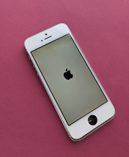 Lcd Assembly Apple Iphone 5s White Small Spot
