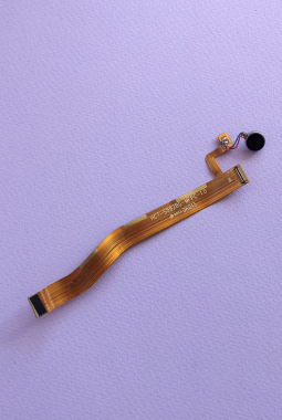 Main Flat Cable Blackview Bv5900