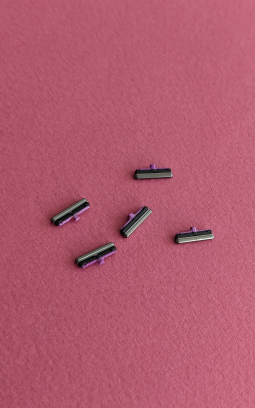 Side Button Samsung Galaxy S10 Gray