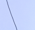 Thumb Coaxial Flex Zte Blade A2020