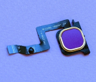 Thumb Finger Scaner Flex Leagoo M13 Purple