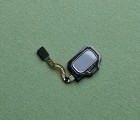Thumb Finger Scaner Samsung Galaxy S8 Ametist