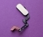 Thumb Home Button Samsung Galaxy A5 A520f 2017 Gold