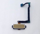 Thumb Home Button Samsung Galaxy Note 5 Gold