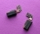 Thumb Jack Blackberry Leap