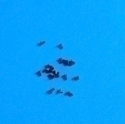 Torx Motorola Moto G4 Set 1
