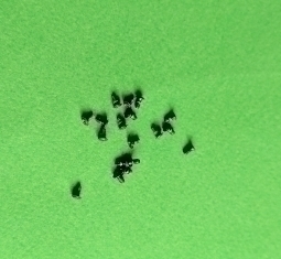 Torx Motorola Moto X Play